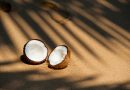 Lad dig forføre af de nyeste kokosmåtter
